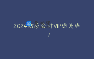 2024初级会计VIP通关班-1