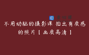 不用动脑的摄影课 拍出有质感的照片【画质高清】