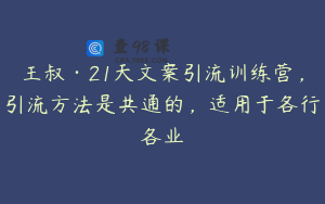 王叔·21天文案引流训练营,引流方法是共通的,适用于各行各业