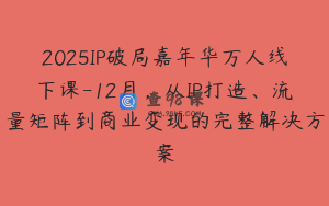 2025IP破局嘉年华万人线下课-12月，从IP打造、流量矩阵到商业变现的完整解决方案