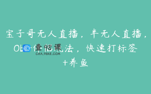 宝子哥无人直播，半无人直播，Obs+伴侣玩法，快速打标签+养鱼