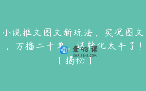 小说推文图文新玩法，实况图文，万播二十单，这转化太牛了！【揭秘】