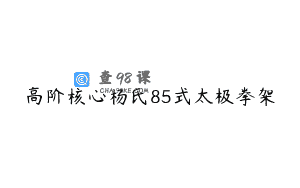 高阶核心杨氏85式太极拳架