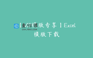 【VIP模版专享】Excel模版下载
