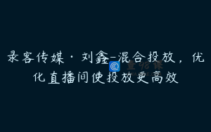 录客传媒·刘鑫-混合投放，优化直播间使投放更高效