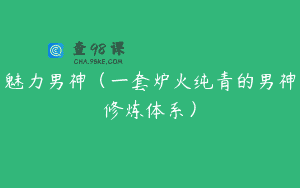 魅力男神(一套炉火纯青的男神修炼体系)