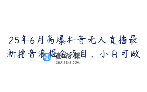 25年6月高爆抖音无人直播最新撸音浪掘金项目，小白可做