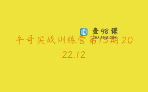 牛哥实战训练营第13期 2022.12