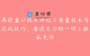 高级盘口技术课程《看盘技术与实战技巧，看透主力的一切》振弘老师