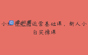 小红书电商运营基础课，新人小白实操课