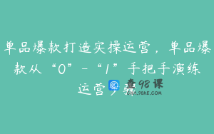 单品爆款打造实操运营，单品爆款从“0”-“1”手把手演练运营步骤