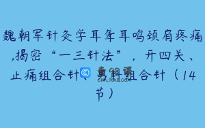 魏朝军针灸学耳聋耳鸣颈肩疼痛,揭密“一三针法”，开四关、止痛组合针、男科组合针（14节）