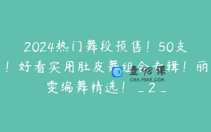 2024热门舞段预售！50支！好看实用肚皮舞组合专辑！丽雯编舞精选！_2_