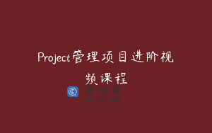 Project管理项目进阶视频课程