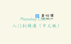 Photoshop CS6从入门到精通（中文版）