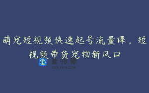 萌宠短视频快速起号流量课，短视频带货宠物新风口