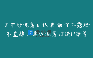 文中野混剪训练营 教你不露脸不直播，通过混剪打造IP账号