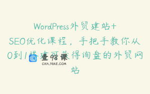 WordPress外贸建站+SEO优化课程，手把手教你从0到1搭建可获得询盘的外贸网站