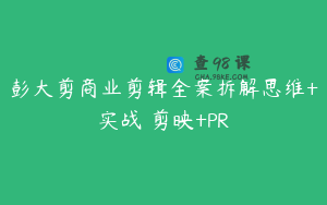 彭大剪商业剪辑全案拆解思维+实战 剪映+PR
