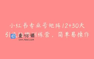 小红书专业号矩阵12+30天引流陪跑训练营，简单易操作