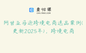 阿甘亚马逊跨境电商选品案例(更新2025年)，跨境电商