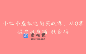 小红书虚拟电商实战课，从0掌握虚拟店铺��钱密码