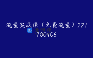 流量实战课（免费流量）221700406