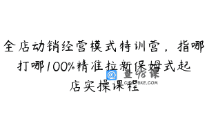 全店动销经营模式特训营，指哪打哪100%精准拉新保姆式起店实操课程