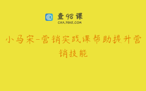小马宋-营销实践课帮助提升营销技能