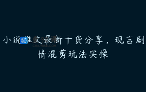 小说推文最新干货分享，现言剧情混剪玩法实操