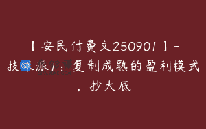 【安民付费文250901】-技术派1：复制成熟的盈利模式，抄大底