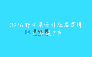 O916.野生眉设计底层逻辑.许媛媛.7节