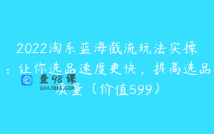 2022淘系蓝海截流玩法实操：让你选品速度更快，提高选品质量（价值599）