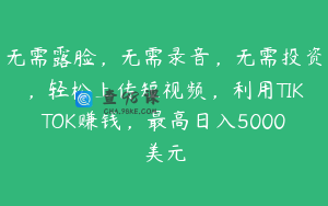 无需露脸，无需录音，无需投资，轻松上传短视频，利用TIKTOK赚钱，最高日入5000美元
