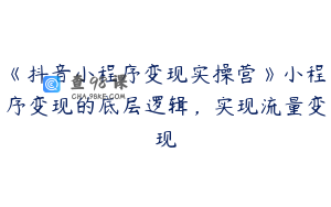 《抖音小程序变现实操营》小程序变现的底层逻辑，实现流量变现