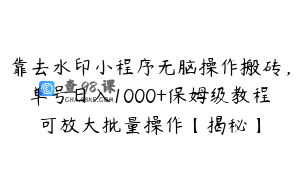 靠去水印小程序无脑操作搬砖,单号日入1000+保姆级教程可放大批量操作【揭秘】