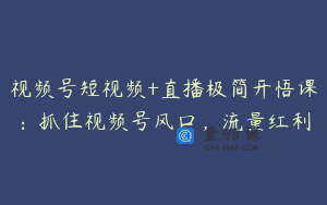 视频号短视频+直播极简开悟课：抓住视频号风口，流量红利