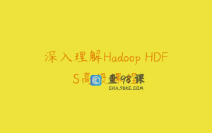 深入理解Hadoop HDFS高级课程
