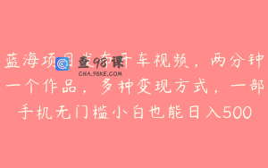 蓝海项目发布开车视频，两分钟一个作品，多种变现方式，一部手机无门槛小白也能日入500