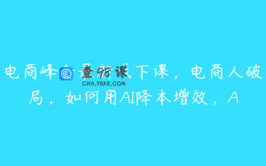 电商峰会最新线下课，电商人破局，如何用AI降本增效，A