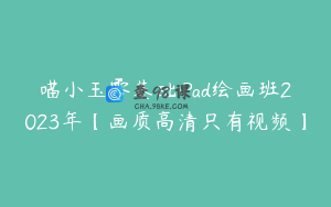 喵小玉零基础iPad绘画班2023年【画质高清只有视频】
