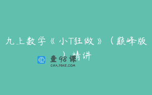 九上数学《小T狂做》(巅峰版)精讲