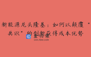 新能源龙头隆基：如何以颠覆“共识”的创新获得成本优势