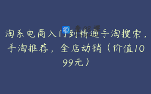 淘系电商入门到精通手淘搜索，手淘推荐，全店动销（价值1099元）