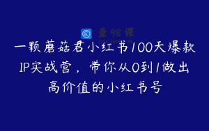 一颗蘑菇君小红书100天爆款IP实战营，带你从0到1做出高价值的小红书号