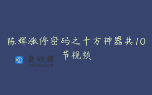 陈辉涨停密码之十方神器共10节视频