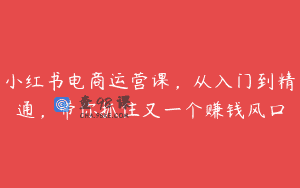 小红书电商运营课，从入门到精通，带你抓住又一个赚钱风口