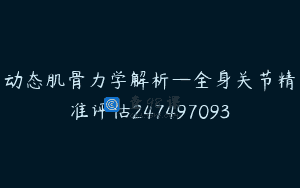 动态肌骨力学解析—全身关节精准评估247497093