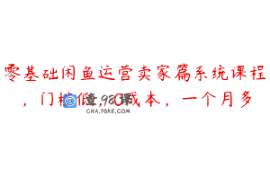 零基础闲鱼运营卖家篇系统课程，门槛低，0成本，一个月多