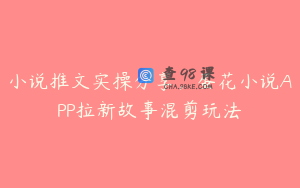 小说推文实操分享，蛋花小说APP拉新故事混剪玩法